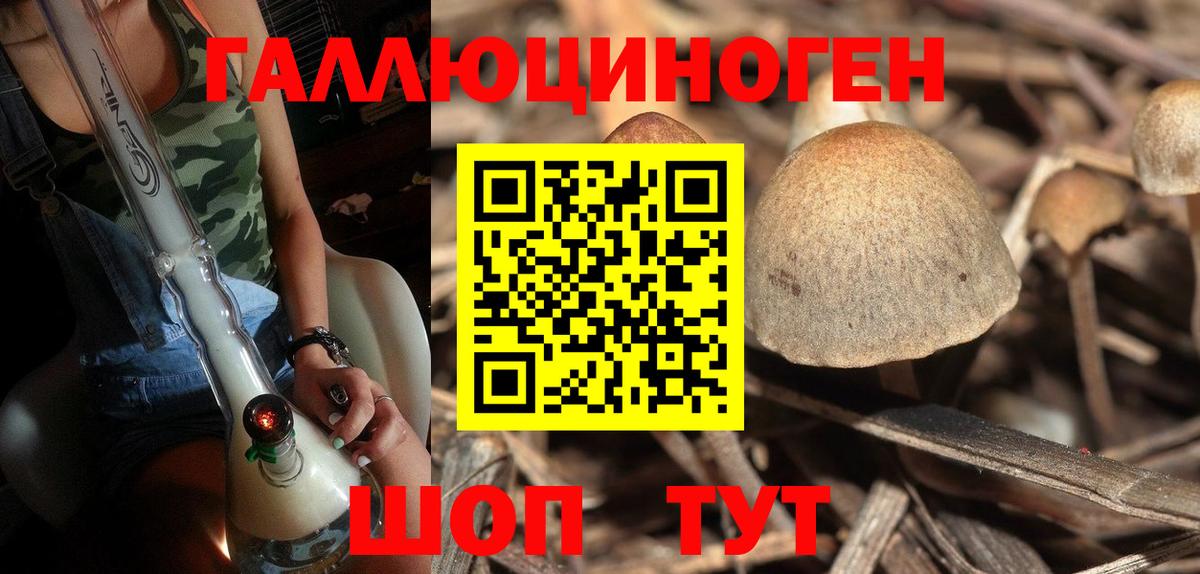 Галлюциногенные грибы ЛСД Шебекино